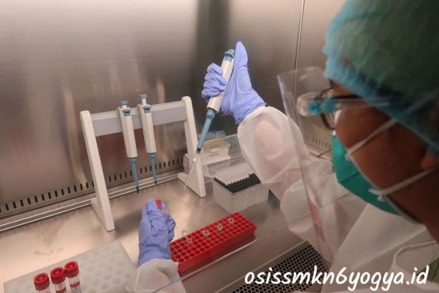 Jurusan Biologi: Kuliah, Prospek Kerja, dan Karier